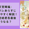 『天官賜福』ネタバレあらすじわかりやすく解説！小説完結君吾最後どうなる？