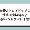 文豪ストレイドッグス漫画は完結済み？最終回いつネタバレ予想も！