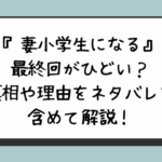 『妻小学生になる』最終回がひどい？真相や理由をネタバレを含めて解説！