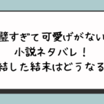 完璧すぎて可愛げがないと小説ネタバレ！完結した結末はどうなる？